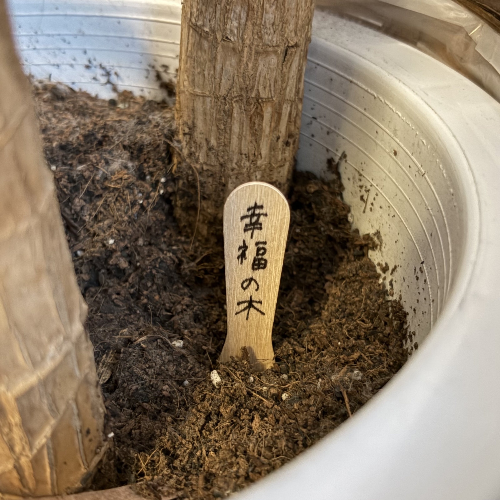 花や木のネームプレートに使える！