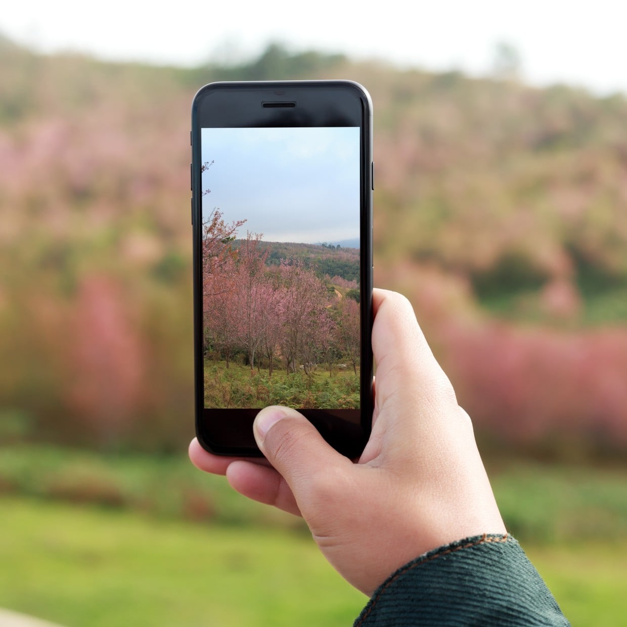 映える画像がすぐ完成！【iPhone】専用アプリは不要。写真の一部を“一瞬で切り取れる”簡単テク 