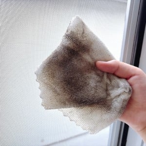 「網戸」を外さず片側だけでOK！ホコリや砂、花粉がスルスル落ちる【知られざる掃除アイテム】