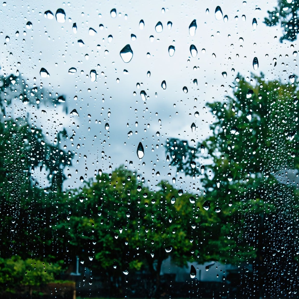  「雨の日」が掃除のチャンス！“湿気”で汚れがするっと落ちやすい3つの場所 