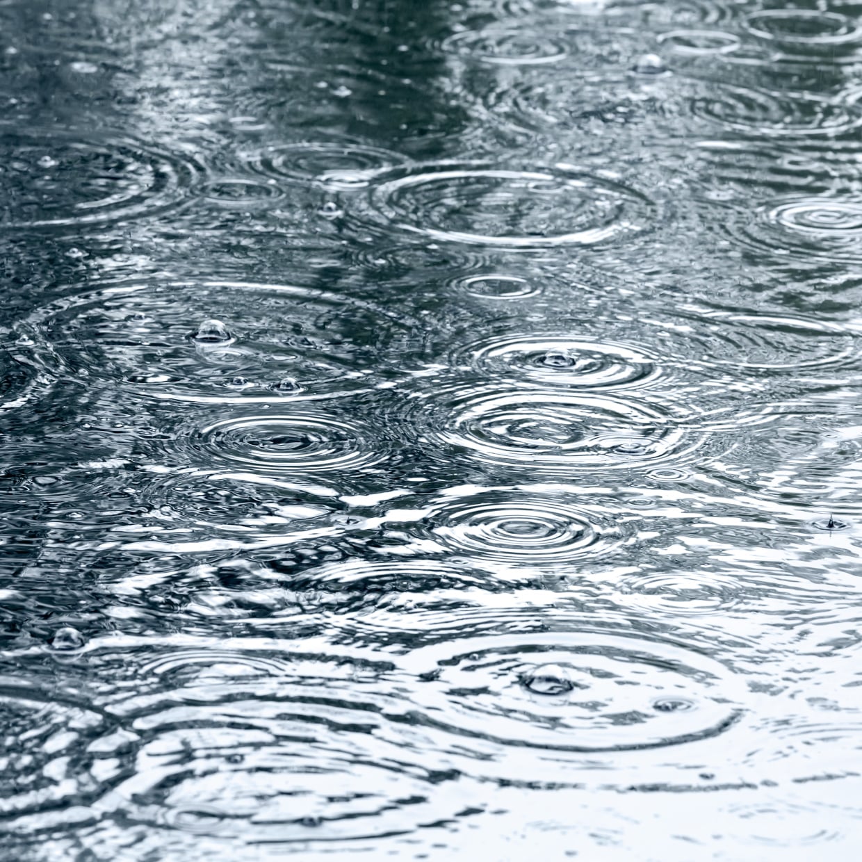 気分転換にぴったり！「ジメジメした梅雨」をより心地よく過ごす工夫2選「気分が上がる」