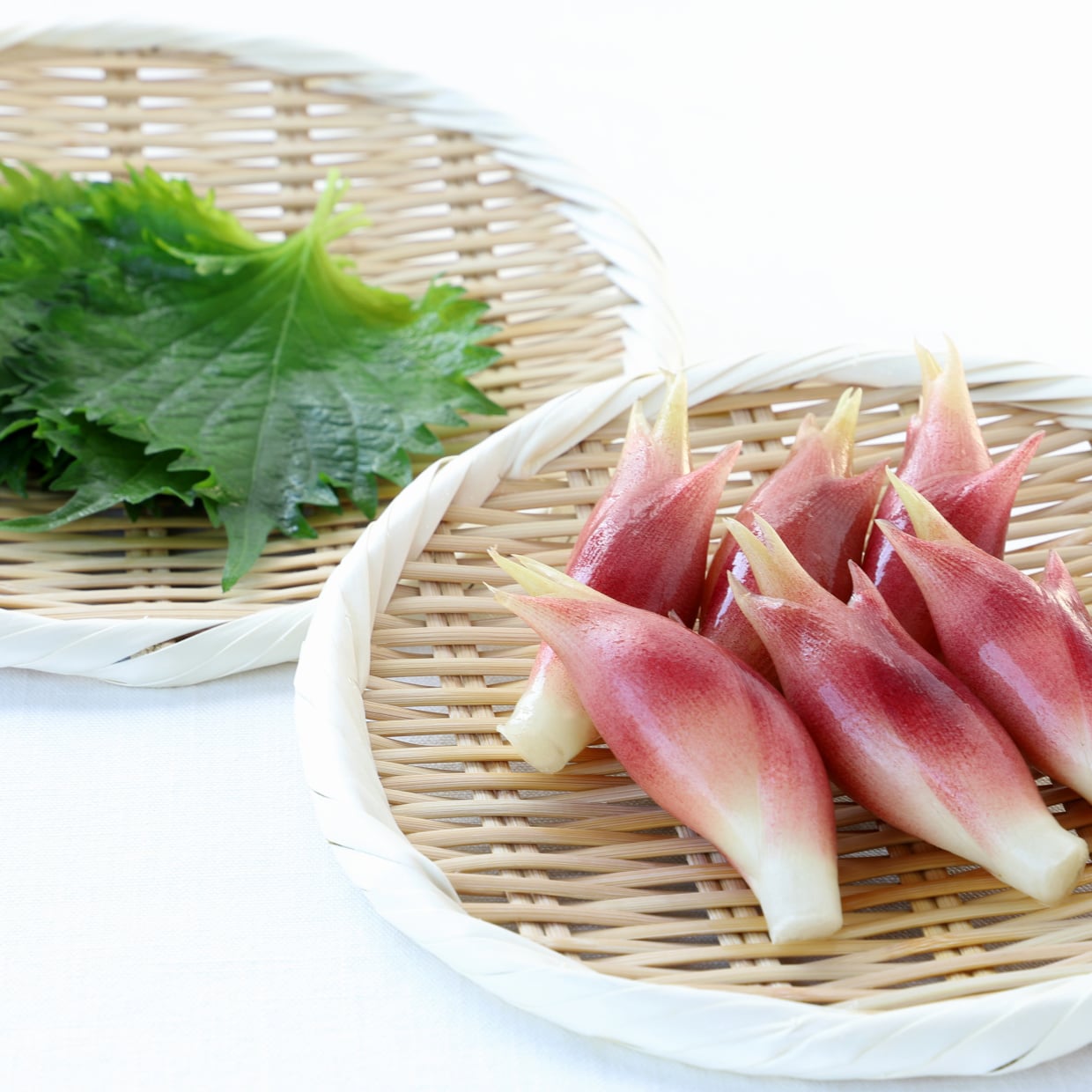  「大葉」や「みょうが」が長持ち！夏に試したい保存ワザ「もうしなしなにならない」 