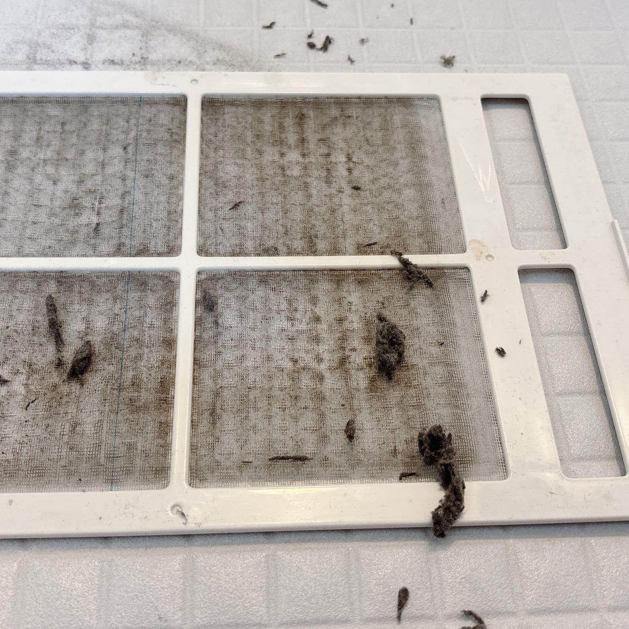  梅雨にやって正解！洗濯物の乾き方にも影響する「浴室乾燥機」の簡単お手入れ術｜掃除のプロ解説 