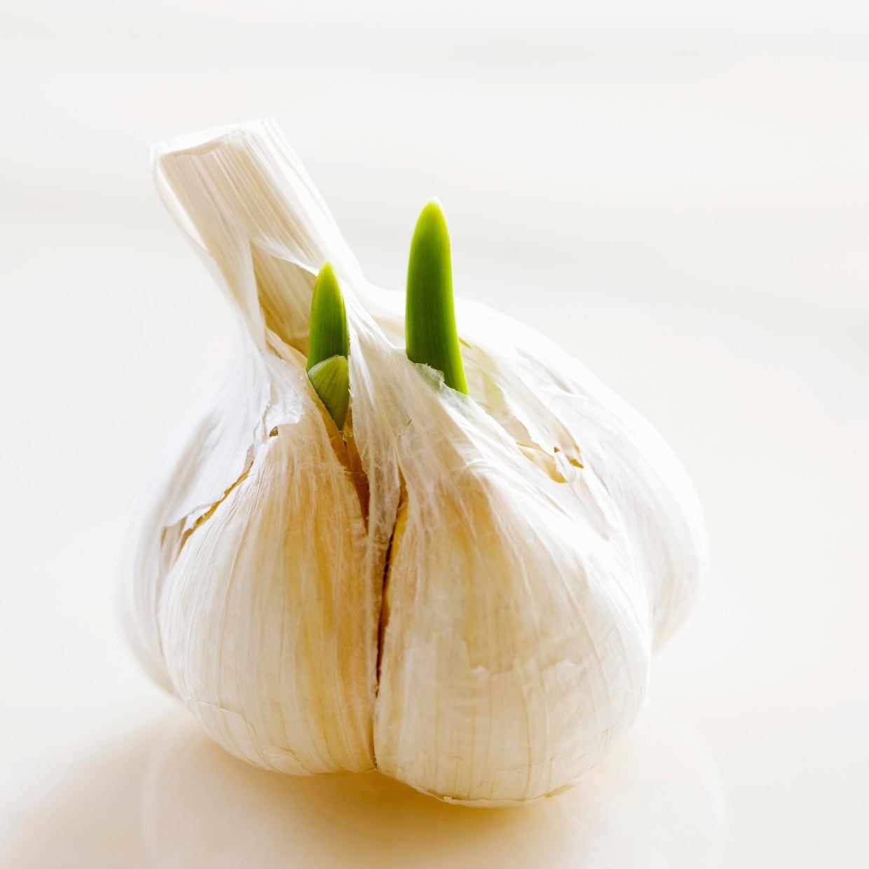  知らなかった。「にんにくの芽」は食べられる？意外な回答と“正しい保存方法” 