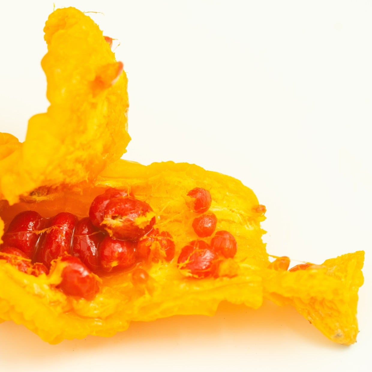  緑じゃない黄色く「熟したゴーヤ」は食べても大丈夫？意外と知らない【食材の知識】 