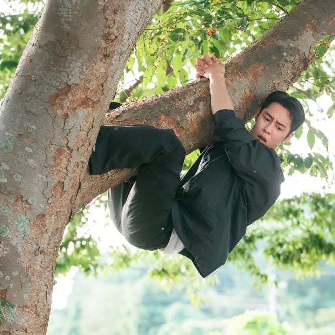  『孤島のエリートドクター』 ディズニープラス スターにて独占配信中 ©KT Studio Genie Co., Ltd. 