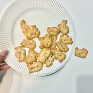 え、便利！"丸い形から四角"に変わるよ。お菓子をこぼさない【紙皿大変身アレンジ】