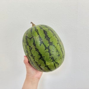 もう抱えて帰らない。丸ごと買っても困らない「スイカ」を劇的に持ちやすくする裏ワザ「電車でもバレない」