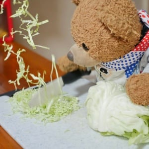 キャベツは豚肉で巻くが正解。ご飯がすすむ大満足おかず「一口でモリモリ食べられる」