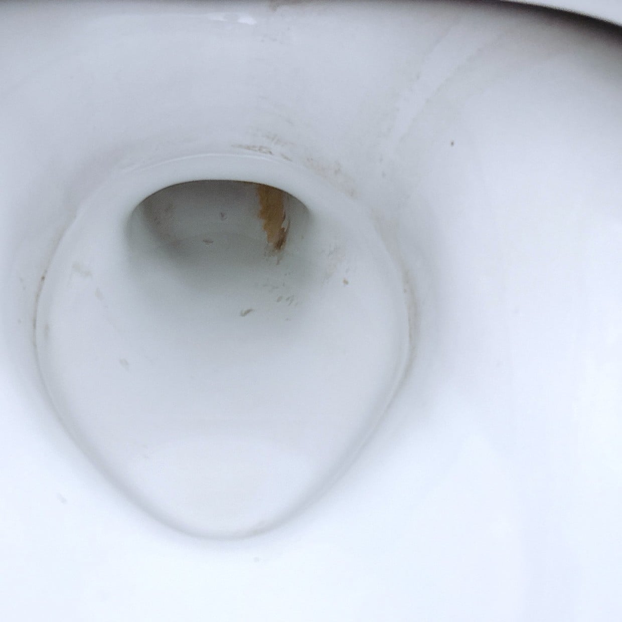  便器の中にかけて3分待つと「かんたんすぎる」「黒い汚れスッキリ」【トイレ掃除術】 