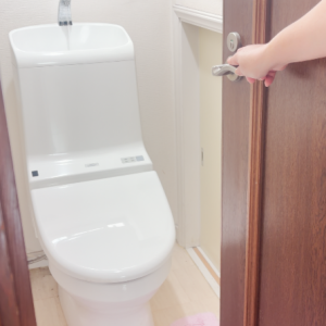 トイレ掃除で最初に拭き掃除してほしい4つの場所「便器じゃないんだ」【知っておきたい掃除術】