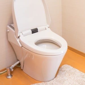便座カバーをやめたら「洗濯不要」「掃除もラク」【トイレの工夫3選】
