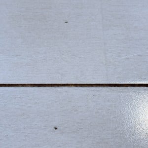 「フローリングのすき間が真っ黒…」を解決！溝をなぞるとスルスル落ちる【夏の簡単掃除術】