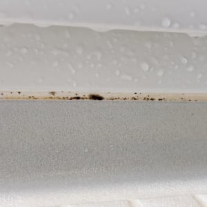 「こすっても落ちない…」浴室のコーキングの黒カビが落ちた「白くなった」【プロが教える簡単掃除術】