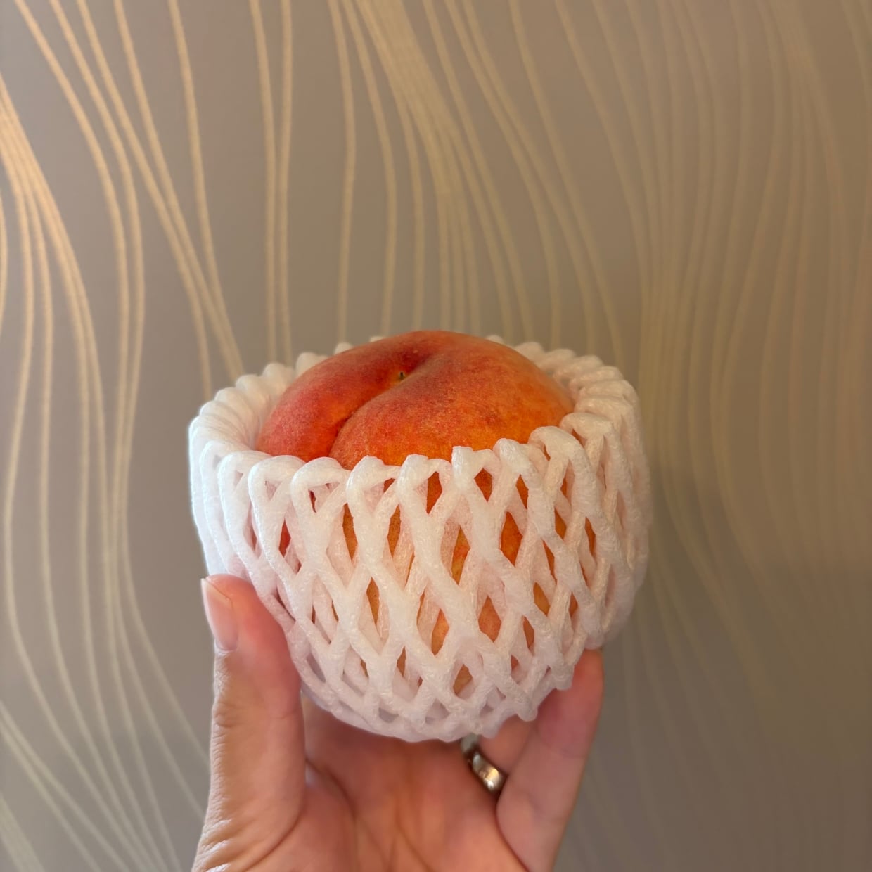  「フルーツネット」をクローゼットで使ってみたら…「日常のちょっとした不便を解消」【意外な活用法3選】 