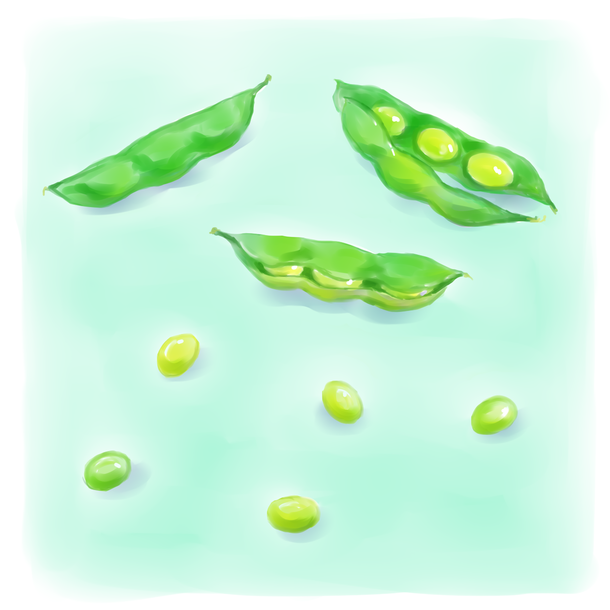  枝豆のさや3つ。そのうち1つは小さく開いて中の枝豆がのぞき、1つは大きく開いて、中の3粒が見えている。外には5粒がこぼれている。 