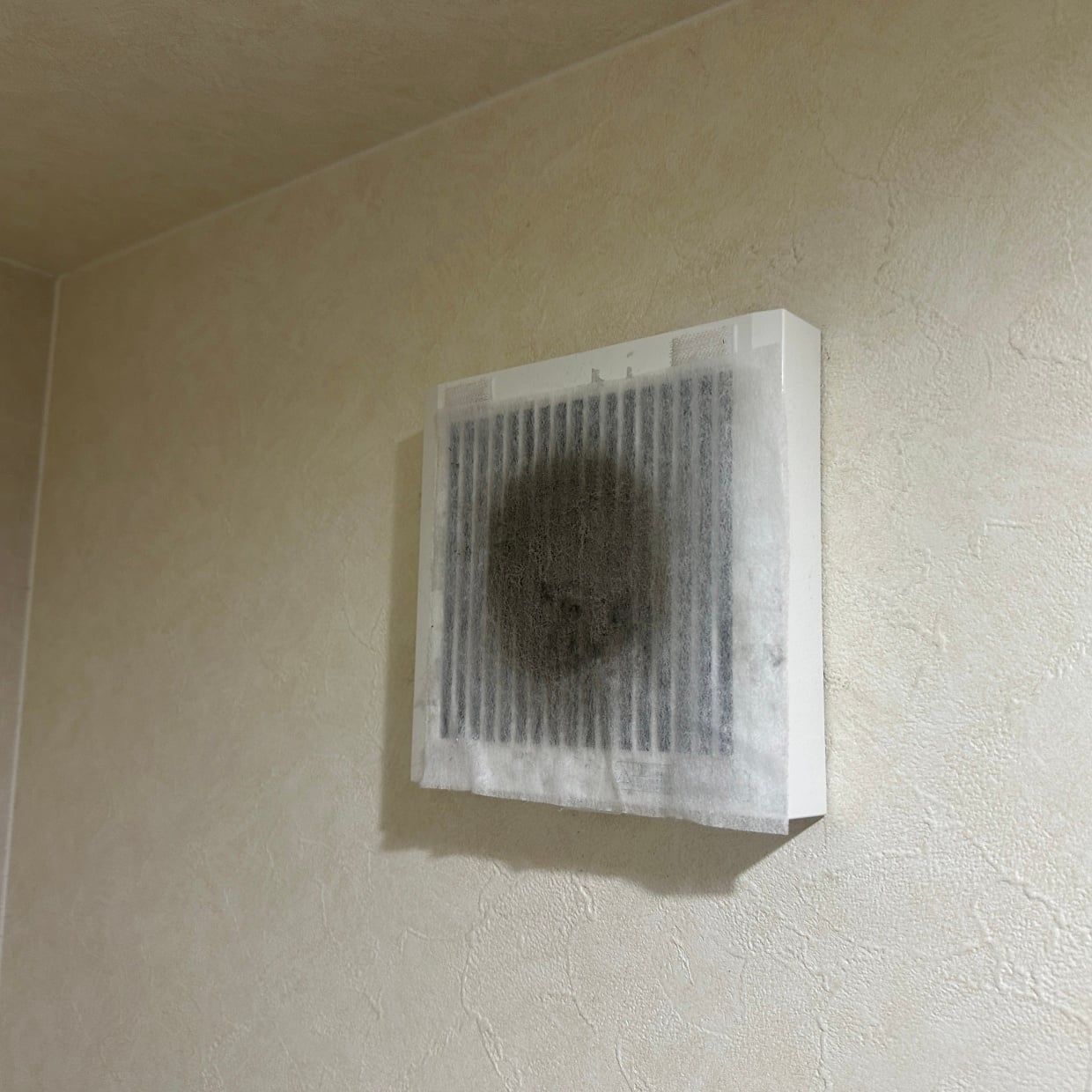  “上”を見て。ホコリびっしりの「トイレの換気扇」を“ウタマロと歯ブラシ”できれいにした掃除レポ 