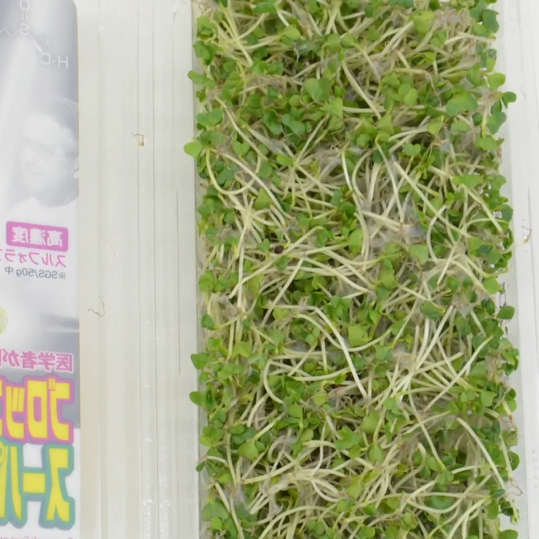 「食べても大丈夫？」「カビじゃないの？」ブロッコリースーパースプラウトの“白い綿毛”の正体 