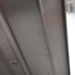 掃除のプロはサッシだけで満足しない。「窓枠」のホコリを落とす“ヘラとウエス”の合わせワザ