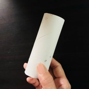 意外な使い道に笑っちゃう。捨てる前に試してみた「トイレットペーパーの芯」の活用アイデア【実践】
