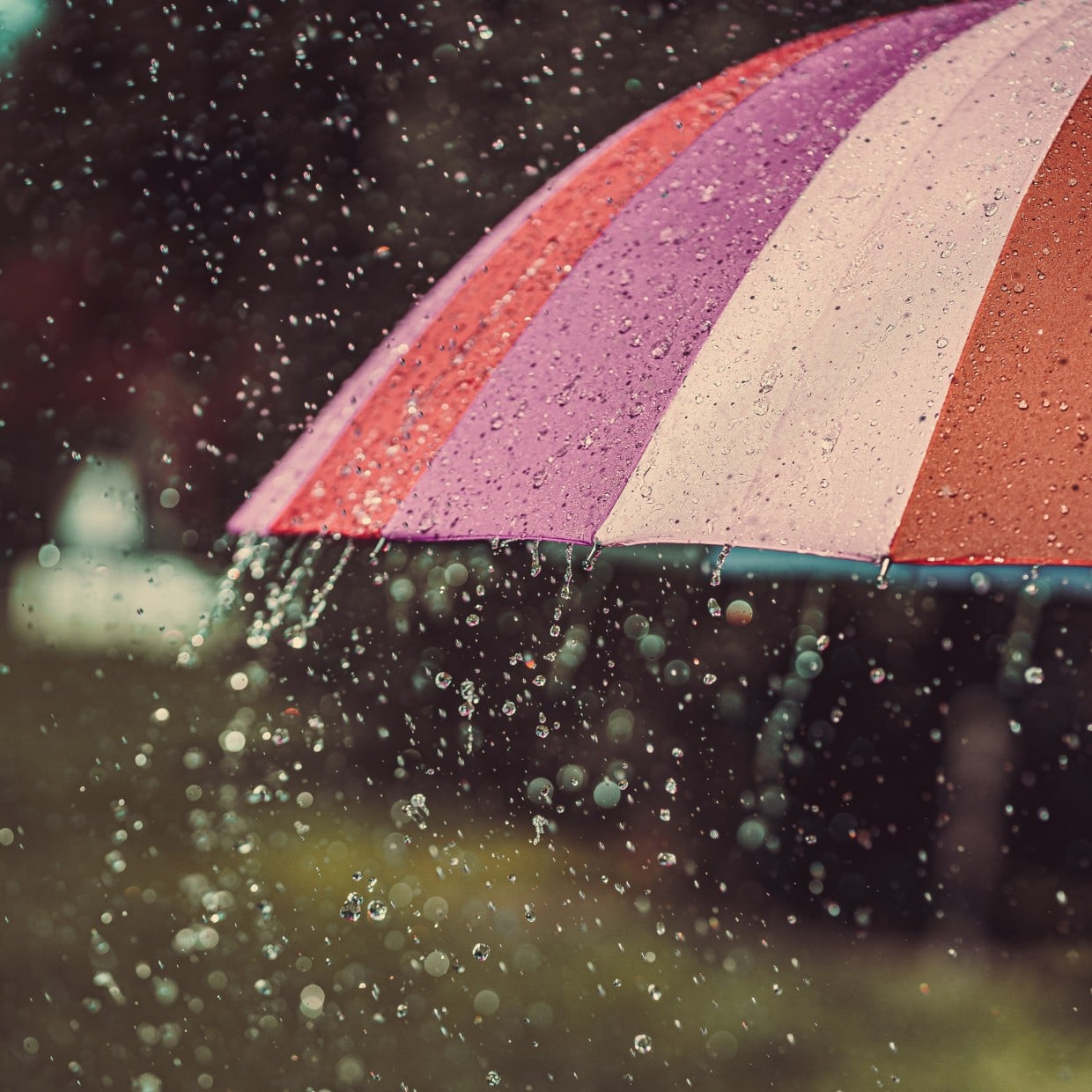 傘の“撥水”が復活したよ…！知っておきたい【雨の日に役立つライフハック3選】 
