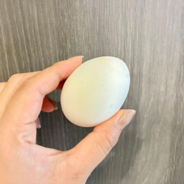  「夫のテンションまで爆上がり」「簡単なのに可愛い」いつもの食卓がパッと華やぐ「お花目玉焼き」の作り方 