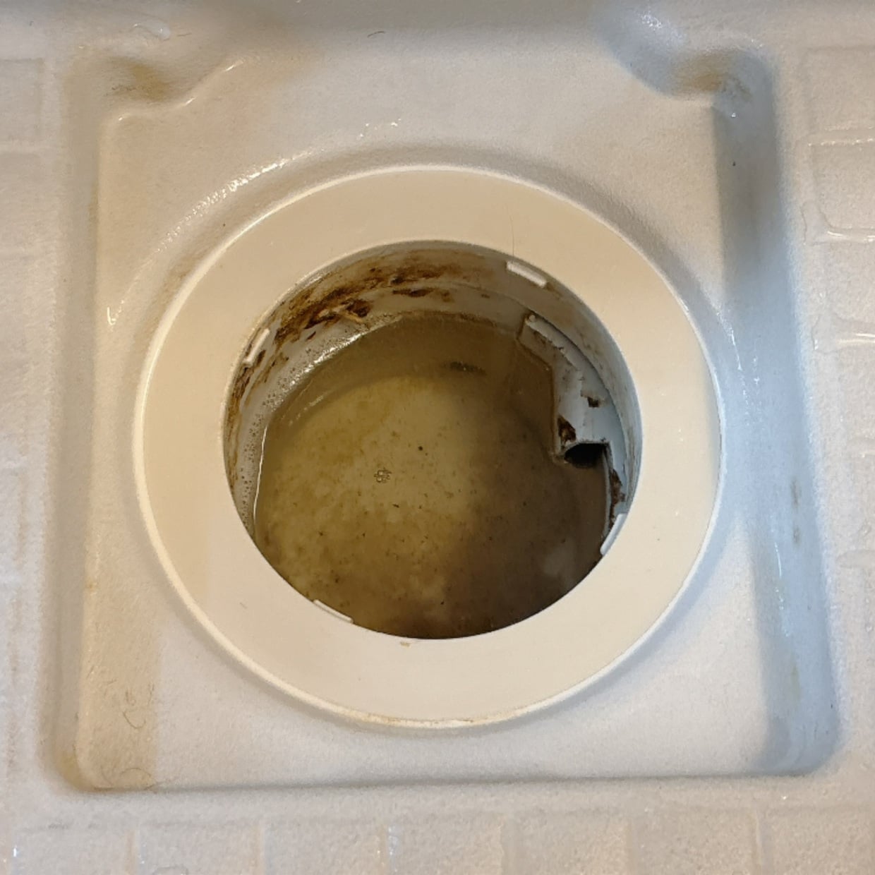  ぬめりとカビ臭がすごい……。「浴室の排水口」にたまった“悪臭汚れ”のピカピカお掃除【臭いが全然違う】 