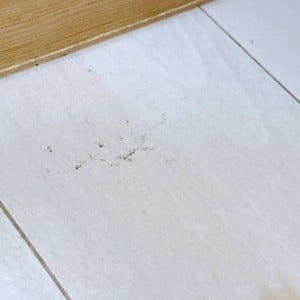 夏の汚れをリセット。「フローリング」のベタつきを解消する“簡単拭き掃除”「感触が違う」「白さ復活」