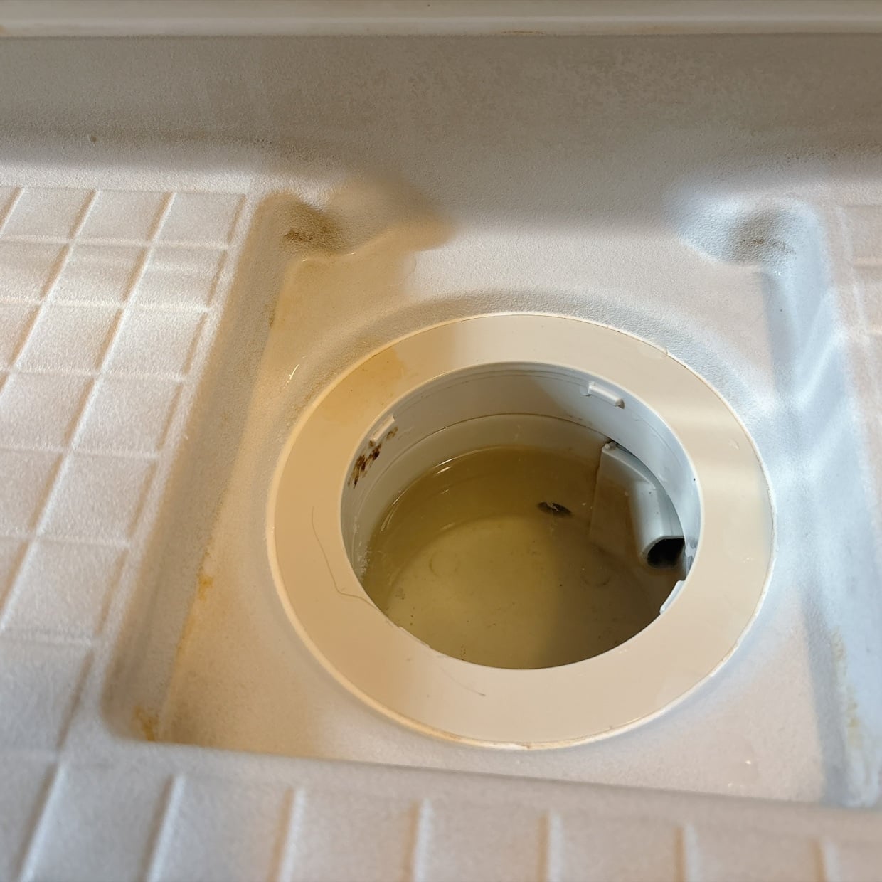 【浴室の排水口掃除】「週1回だけはやってほしい…！」汚れがひどくなる前が重要“かんたん掃除術”