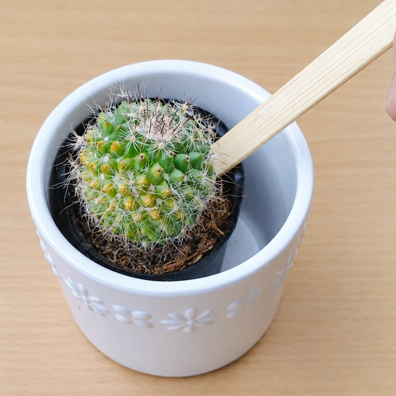  アイスの棒を植物の土に差し込むと→「ひと目でわかる」「賢い」【アイスの棒の便利活用術3選】 