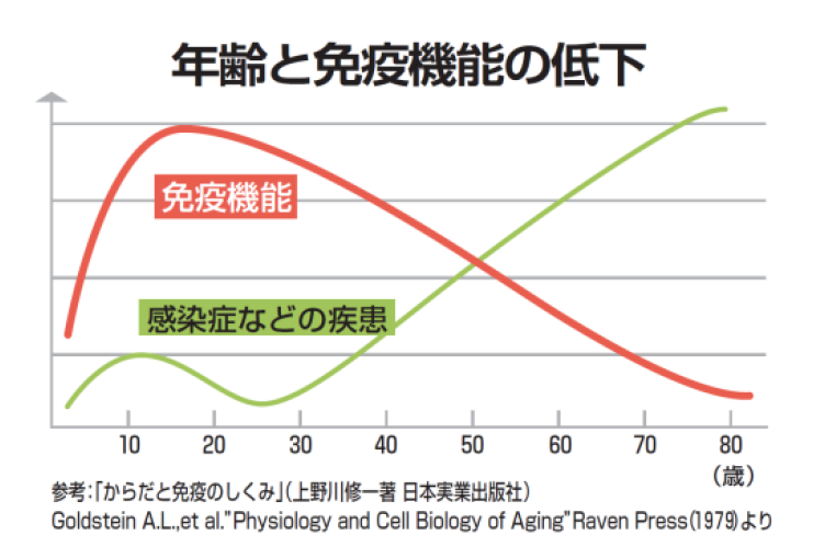 年齢と免疫機能の低下