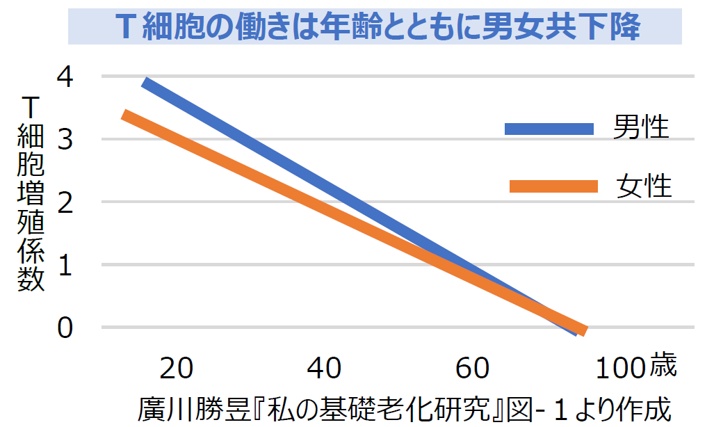 T細胞の働き