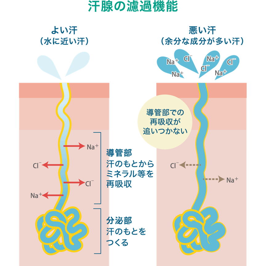 良い汗と悪い汗