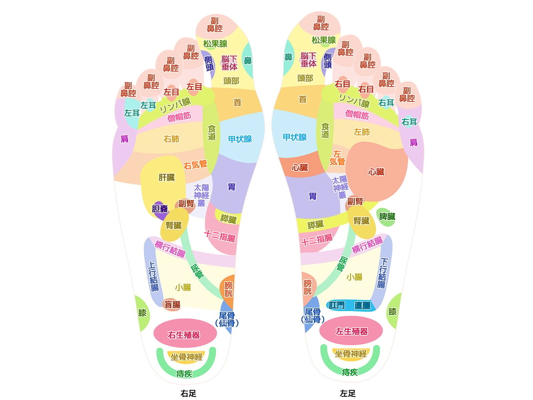 足裏リフレチャート