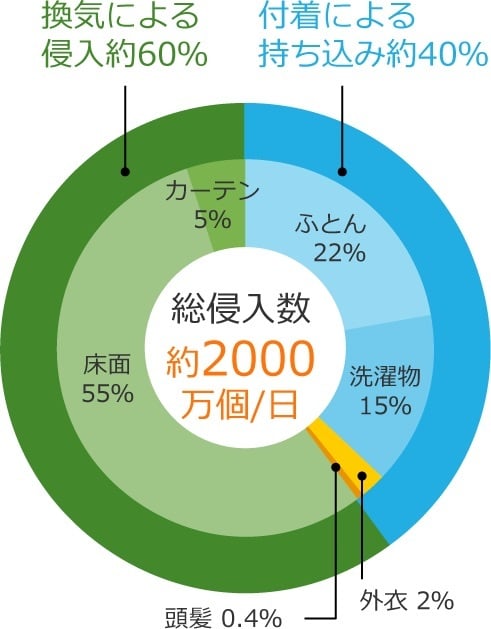 花粉の侵入経路