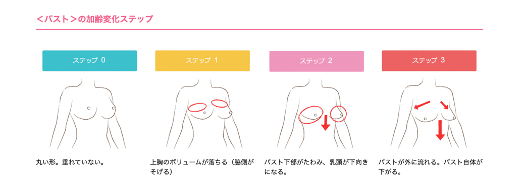 女性のバストの変化