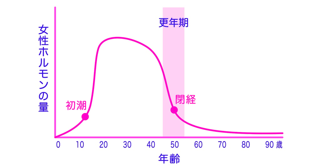 エストロゲンの変化