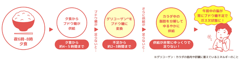 午前中を有意義にしたいのなら朝ごはんを食べよう　