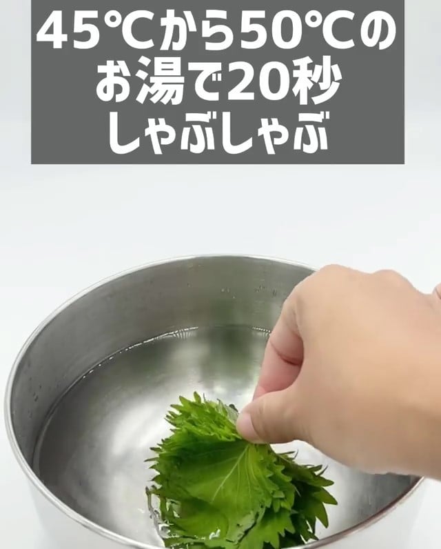 お湯でしゃぶしゃぶする