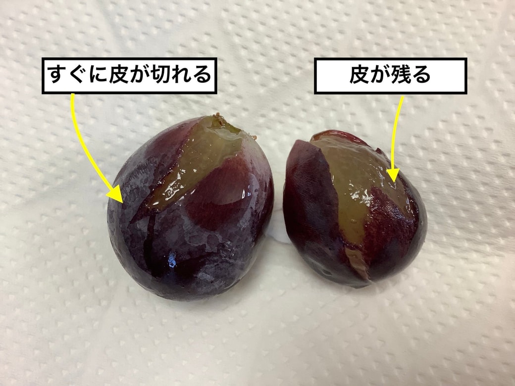 ぶどうの皮が剥けない