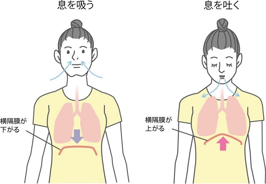 呼吸イメージ