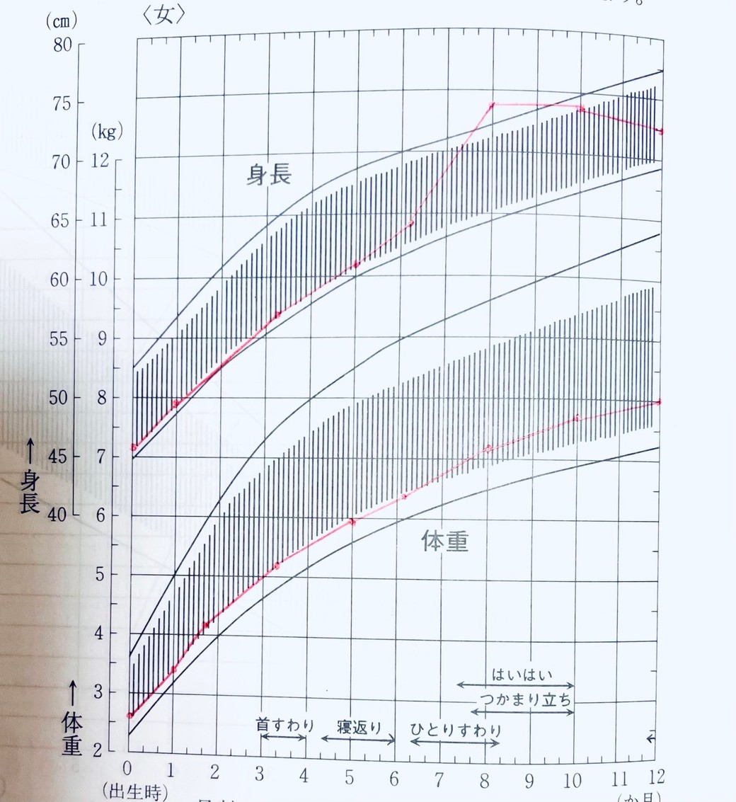 母子手帳