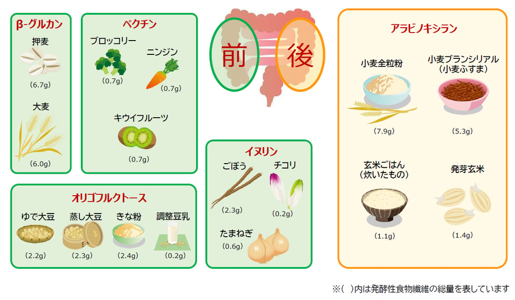 食物繊維