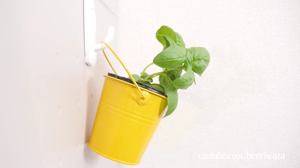 フックを使って植物を飾る男性