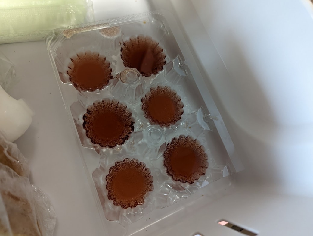 卵パック