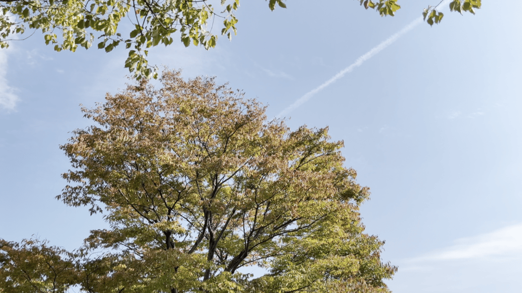 秋の空