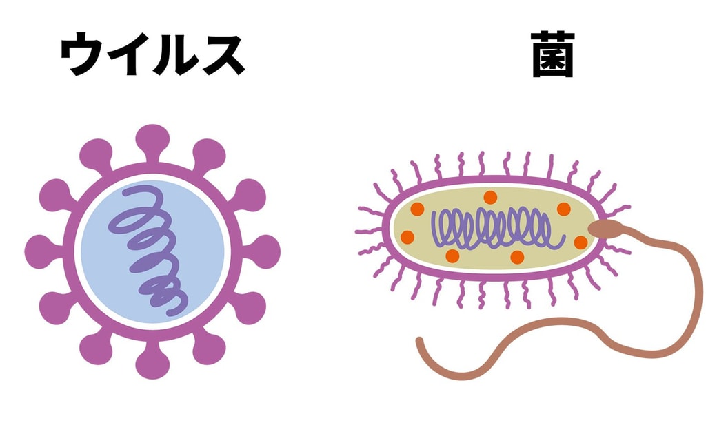 きん