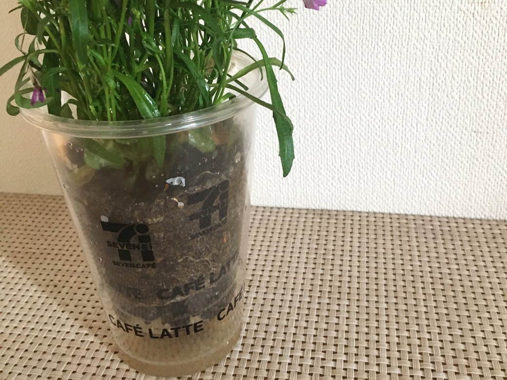 コンビニコーヒーアイス用カップにいれた紫の花