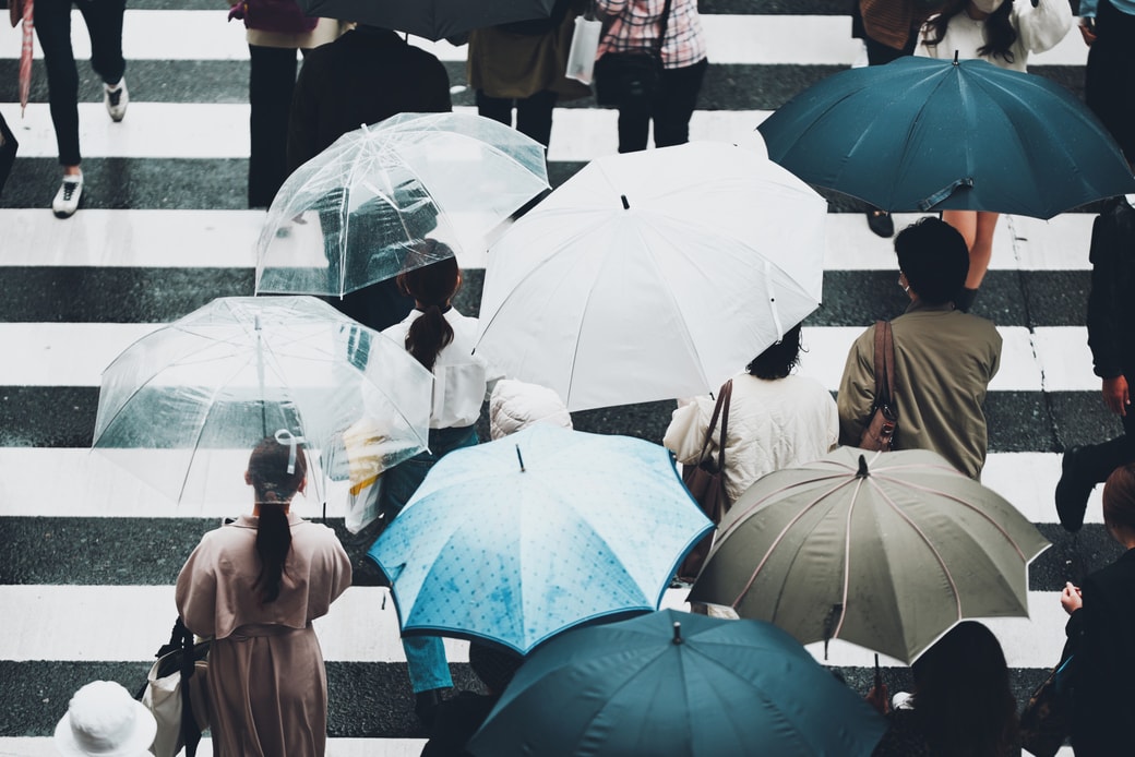 雨