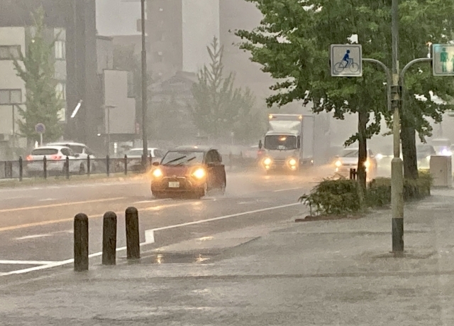 ゲリラ豪雨の街の様子